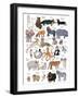 ABC Party Animal-Hanna Melin-Framed Art Print