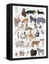 ABC Party Animal-Hanna Melin-Framed Stretched Canvas