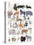 ABC Party Animal-Hanna Melin-Stretched Canvas