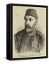 Abd-Ul-Aziz, the Late Sultan of Turkey-null-Framed Stretched Canvas