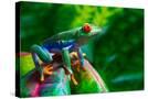Stretched Canvas
