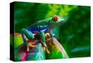 Stretched Canvas