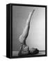 Abdomen Exercises-null-Framed Stretched Canvas