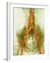 Abdominal Arteries, X-ray-null-Framed Photographic Print