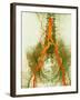 Abdominal Arteries, X-ray-null-Framed Photographic Print