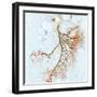 Abdominal Blood Vessels, X-ray-Du Cane Medical-Framed Premium Photographic Print