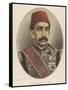 Abdul Hamid II, Ottoman Sultan-W&d Downey-Framed Stretched Canvas