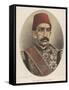 Abdul Hamid II, Ottoman Sultan-W&d Downey-Framed Stretched Canvas