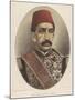 Abdul Hamid II, Ottoman Sultan-W&d Downey-Mounted Art Print