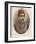 Abdul Hamid II, Ottoman Sultan-W&d Downey-Framed Art Print