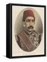 Abdul Hamid II, Ottoman Sultan-W&d Downey-Framed Stretched Canvas