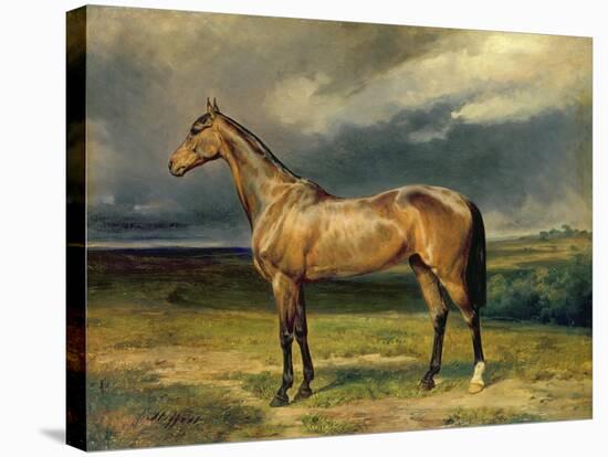 Abdul Medschid' the Chestnut Arab Horse, 1855-Carl Constantin Steffeck-Stretched Canvas