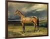 Abdul Medschid' the Chestnut Arab Horse, 1855-Carl Constantin Steffeck-Framed Giclee Print