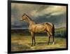 Abdul Medschid' the Chestnut Arab Horse, 1855-Carl Constantin Steffeck-Framed Giclee Print