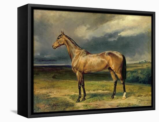 Abdul Medschid' the Chestnut Arab Horse, 1855-Carl Constantin Steffeck-Framed Stretched Canvas