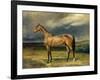 Abdul Medschid' the Chestnut Arab Horse, 1855-Carl Constantin Steffeck-Framed Giclee Print