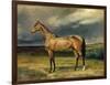 Abdul Medschid' the Chestnut Arab Horse, 1855-Carl Constantin Steffeck-Framed Premium Giclee Print