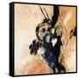 Canvas Black