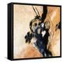 Canvas Black