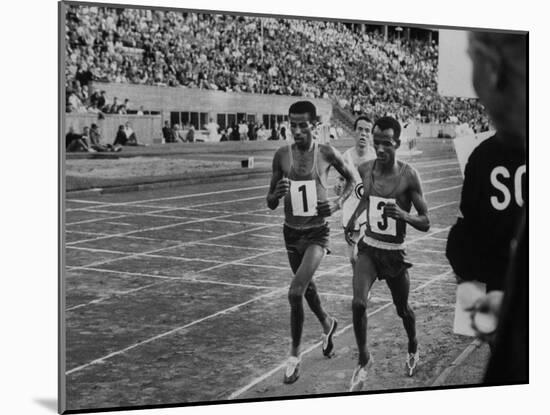 Abebe Bikila and Mamo Wolde in Exhibition Race at Berlin Olympic Stadium-null-Mounted Premium Photographic Print