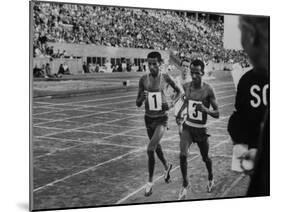 Abebe Bikila and Mamo Wolde in Exhibition Race at Berlin Olympic Stadium-null-Mounted Premium Photographic Print