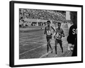 Abebe Bikila and Mamo Wolde in Exhibition Race at Berlin Olympic Stadium-null-Framed Premium Photographic Print