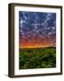 Abeja Winery at Dawn, Walla Walla, Washington, USA-Richard Duval-Framed Photographic Print