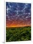 Abeja Winery at Dawn, Walla Walla, Washington, USA-Richard Duval-Framed Photographic Print