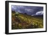 Aberdares Kenya-Charles Bowman-Framed Photographic Print