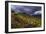 Aberdares Kenya-Charles Bowman-Framed Photographic Print