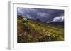 Aberdares Kenya-Charles Bowman-Framed Photographic Print