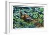 Aberdeen, South Dakota, View of Male and Female Pheasants-Lantern Press-Framed Art Print