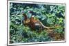 Aberdeen, South Dakota, View of Male and Female Pheasants-Lantern Press-Mounted Art Print