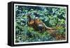 Aberdeen, South Dakota, View of Male and Female Pheasants-Lantern Press-Framed Stretched Canvas