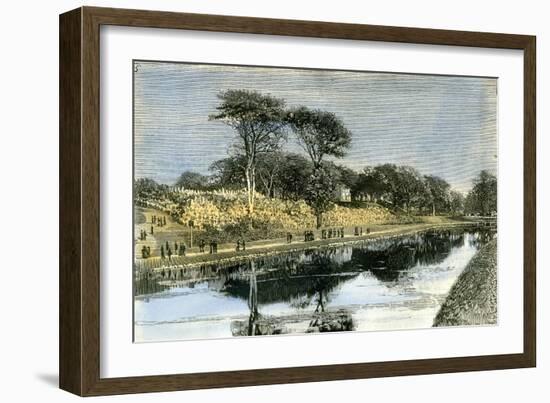 Aberdeen the Duthie Park 1885, UK-null-Framed Giclee Print