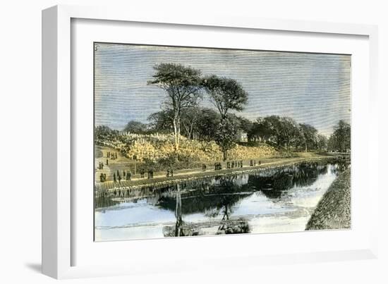 Aberdeen the Duthie Park 1885, UK-null-Framed Giclee Print