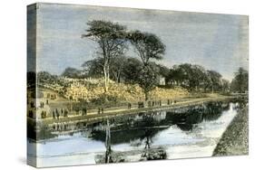 Aberdeen the Duthie Park 1885, UK-null-Stretched Canvas