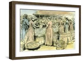 Aberdeen Uk Herring Cleaners at Work 1885-null-Framed Giclee Print