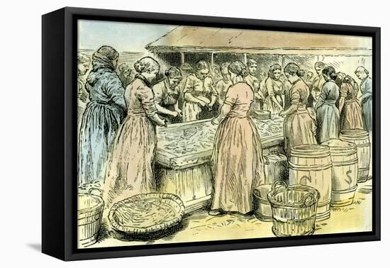 Aberdeen Uk Herring Cleaners at Work 1885-null-Framed Stretched Canvas