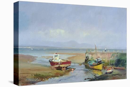 Abersoch, 1993-Trevor Chamberlain-Stretched Canvas