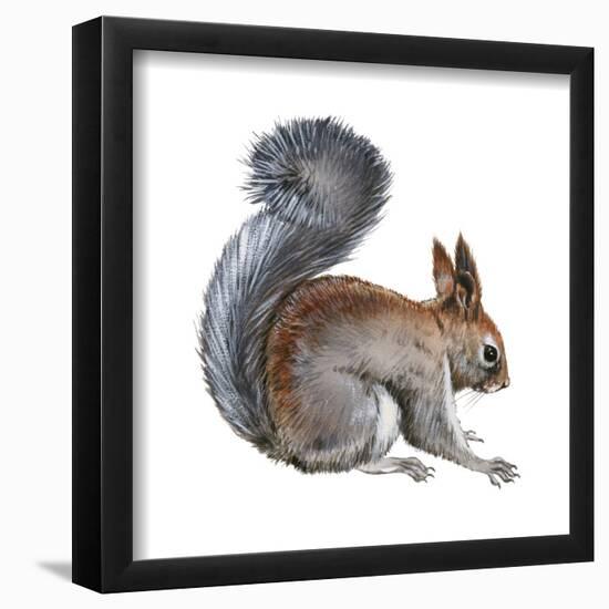 Abert's Squirrel (Sciurus Aberti), Mammals-Encyclopaedia Britannica-Framed Poster