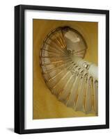 Abescon Lighthouse, New Jersey, USA-null-Framed Photographic Print