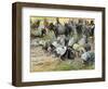 Abigail kneels before David, by Tissot -Bible-James Jacques Joseph Tissot-Framed Giclee Print