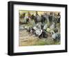 Abigail kneels before David, by Tissot -Bible-James Jacques Joseph Tissot-Framed Giclee Print