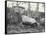 Abingdon/Pinta Island Giant Tortoise at London Zoo, March 1914-Frederick William Bond-Framed Stretched Canvas