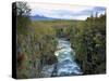 Abisko River Gorge, Lappland, Sweden-Gavin Hellier-Stretched Canvas