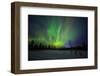 Abisko, Sweden. Chasing the Northern Lights (Aurora Borealis) in Swedish Lapland.-Micah Wright-Framed Photographic Print