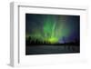 Abisko, Sweden. Chasing the Northern Lights (Aurora Borealis) in Swedish Lapland.-Micah Wright-Framed Photographic Print