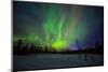 Abisko, Sweden. Chasing the Northern Lights (Aurora Borealis) in Swedish Lapland.-Micah Wright-Mounted Photographic Print