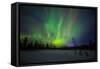 Abisko, Sweden. Chasing the Northern Lights (Aurora Borealis) in Swedish Lapland.-Micah Wright-Framed Stretched Canvas